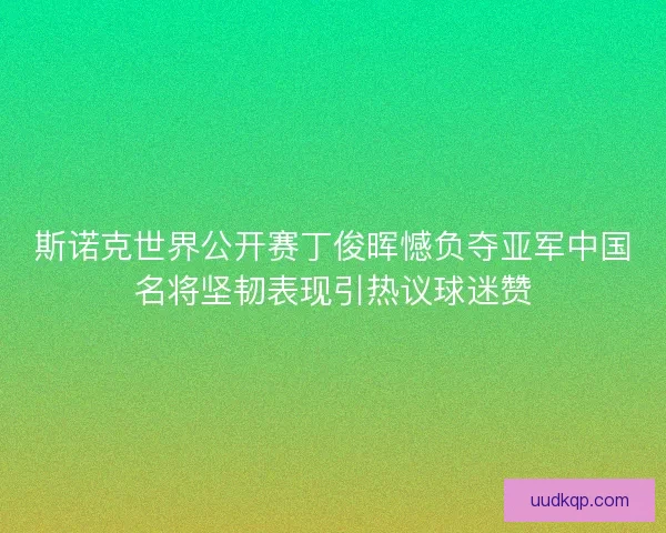 斯诺克世界公开赛丁俊晖憾负夺亚军中国名将坚韧表现引热议球迷赞