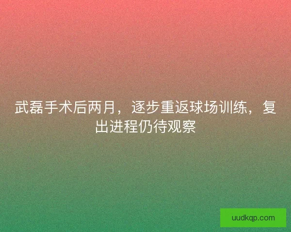 武磊手术后两月，逐步重返球场训练，复出进程仍待观察